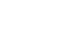 APIDURA