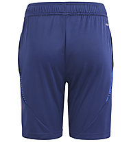 adidas FIGC TIRO Y - pantaloni calcio - bambino, Dark Blue