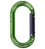 C.A.M.P. Ekto - Karabiner, Green
