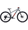 Cube Analog - MTB Cross Country , Grey/Red