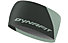 Dynafit Performance 2 Dry - Stirnband Bergsport - Herren, Dark Green/Light Green
