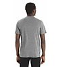 Icebreaker Merino Tech Lite II Spring-Glow - T-shirt - uomo, Grey