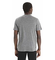 Icebreaker Merino Tech Lite II Spring-Glow - T-Shirt - Herren, Grey