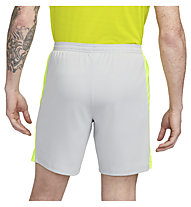 Nike Dri-FIT Academy - Fußballhose kurz - Herren, Grey