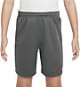 Nike Dri-FIT Academy 23 - Fußballshorts - Jungs, Grey/Dark Red