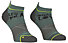 Ortovox  Alpine Light Low M - kurze Socken - Herren, Green/Grey