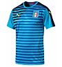 Puma FIGC Italia Stadium - Shirt, Blue/Yellow