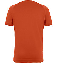 Salewa M Alpine Hemp - T-shirt - uomo, Dark Orange