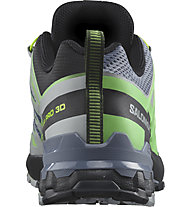 Salomon Xa Pro 3D V9 - Trailrunning-Schuhe - Herren, Grey/Green
