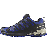 Salomon XA PRO 3D V9 GTX - scarpe trail running - uomo, Blue/Black