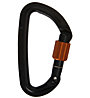 Wild Country Session Screw Gate - Karabiner, Black/Red